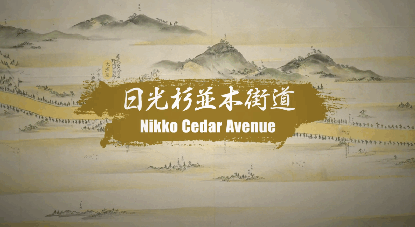 日光杉並木街道